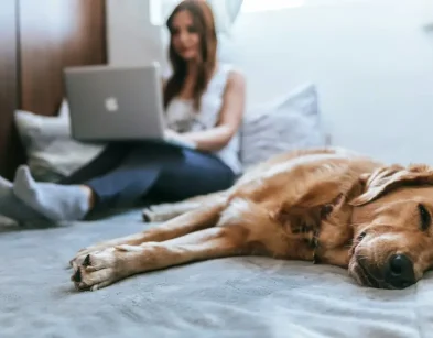 Online counselling in Somerset